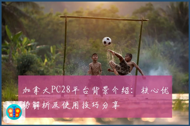 加拿大PC28平台背景介绍：核心优势解析及使用技巧分享