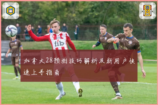 加拿大28预测技巧解析及新用户快速上手指南