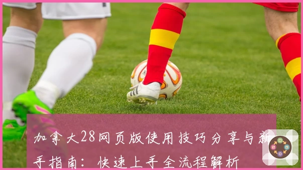 加拿大28网页版使用技巧分享与新手指南：快速上手全流程解析