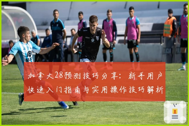加拿大28预测技巧分享：新手用户快速入门指南与实用操作技巧解析