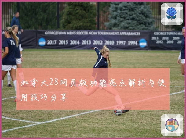 加拿大28网页版功能亮点解析与使用技巧分享