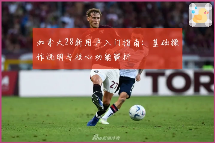 加拿大28新用户入门指南：基础操作说明与核心功能解析