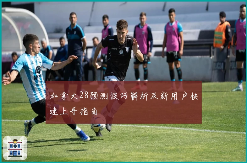 加拿大28预测技巧解析及新用户快速上手指南