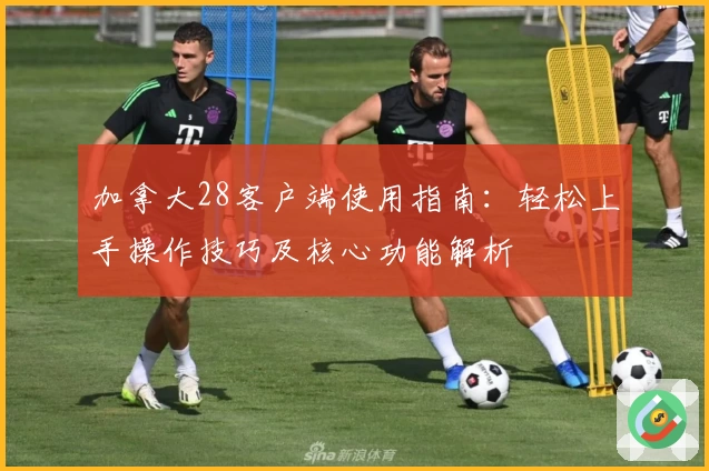 加拿大28客户端使用指南：轻松上手操作技巧及核心功能解析