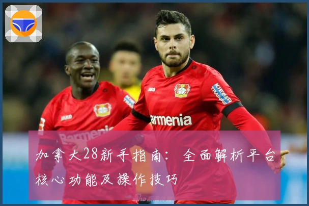 加拿大28新手指南：全面解析平台核心功能及操作技巧